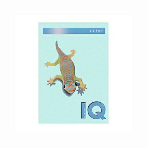 Biotop Color A4 Size 80g/m² 500 Sheets BT508