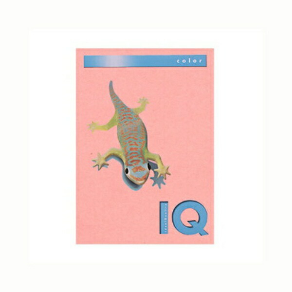 Biotop Color A4 Size 80g/m² 500 Sheets BT504