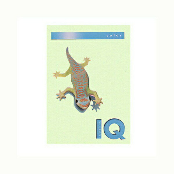 Biotop Color A4 Size 80g/m² 500 Sheets BT505