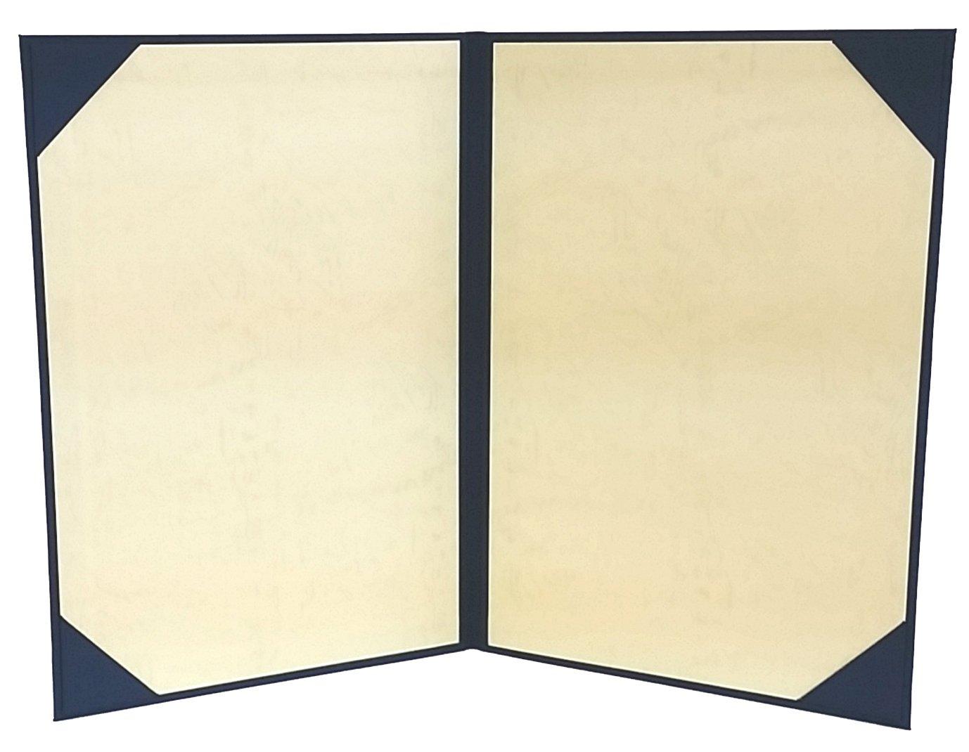 Mino Shokai Certificate File, Fabric, Navy Blue, No Padding, A4 Size (A3 Certificate Use 9272-02)