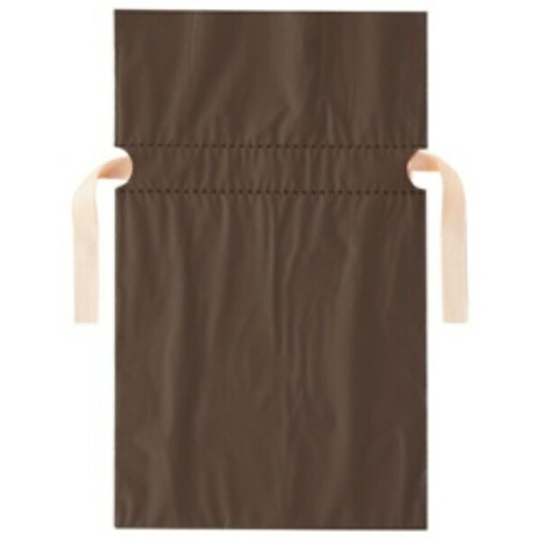 Store Creative Store Express Gift Bag with Satin Ribbon, Brown, 17cm, 1 Pack (20 Sheets)