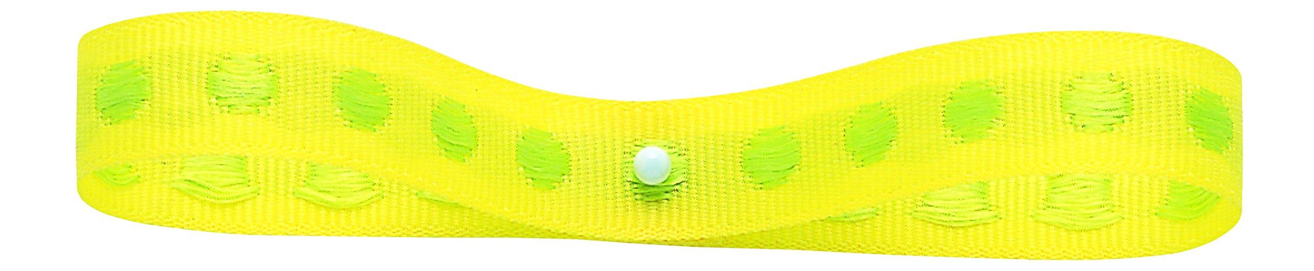 31902 Dot Grosgrain #01 Quantity: 1 roll