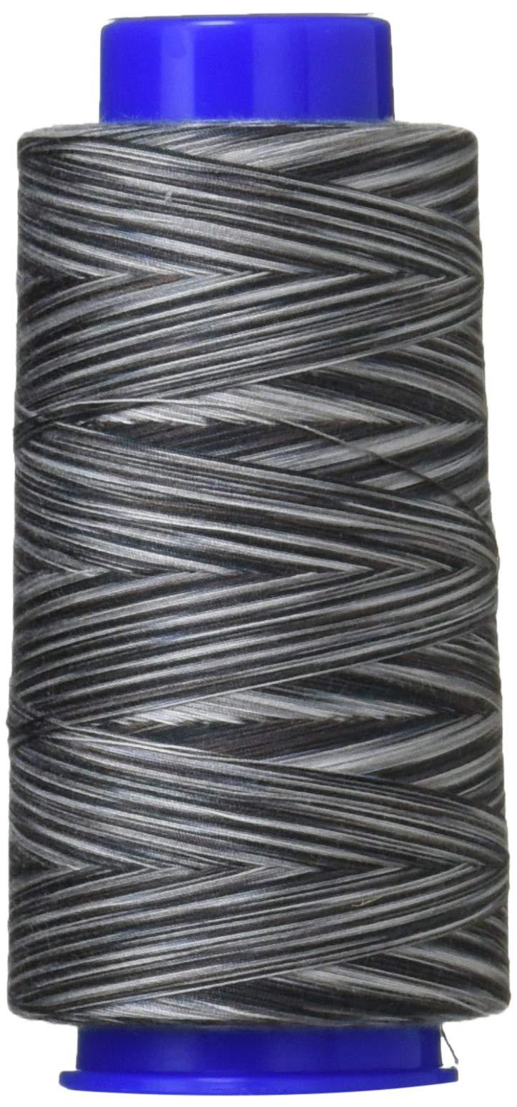 FUJIX King Colors Spun Sewing Thread Gradient-Dyed Sewing Thread #60 1500m [22] FK4826-8