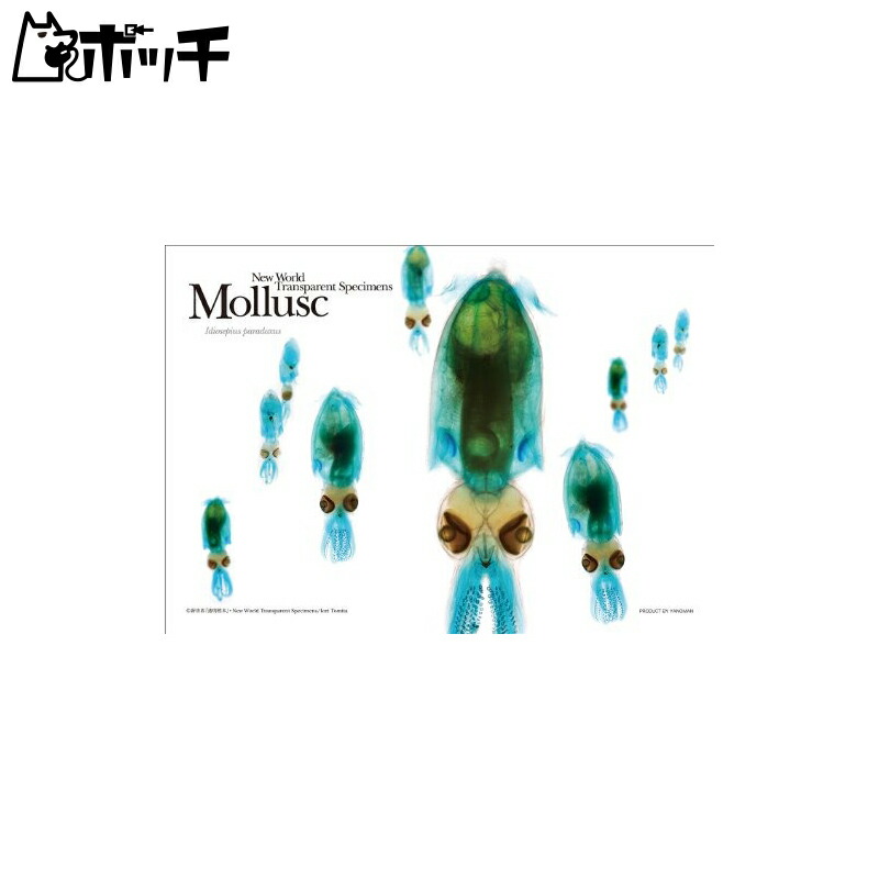 108-Piece Jigsaw Puzzle Prism Art New World “Transparent Specimen” Mollusk (Dwarf Squid) (18.2x25.7cm)