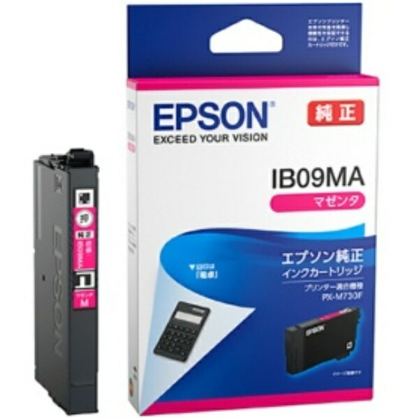 Epson Ink Cartridge Magenta IB09MA 1 piece