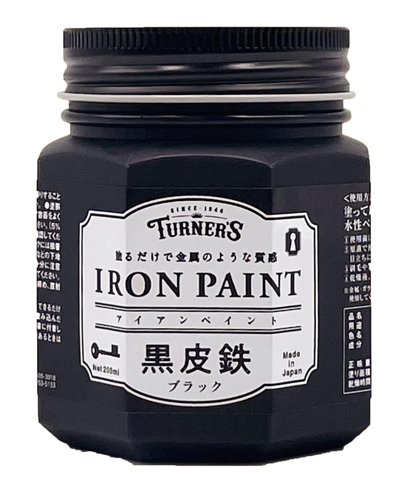 Turner Color Water-Based Paint Iron Paint Black Skin Iron Black IRK20020 200ml