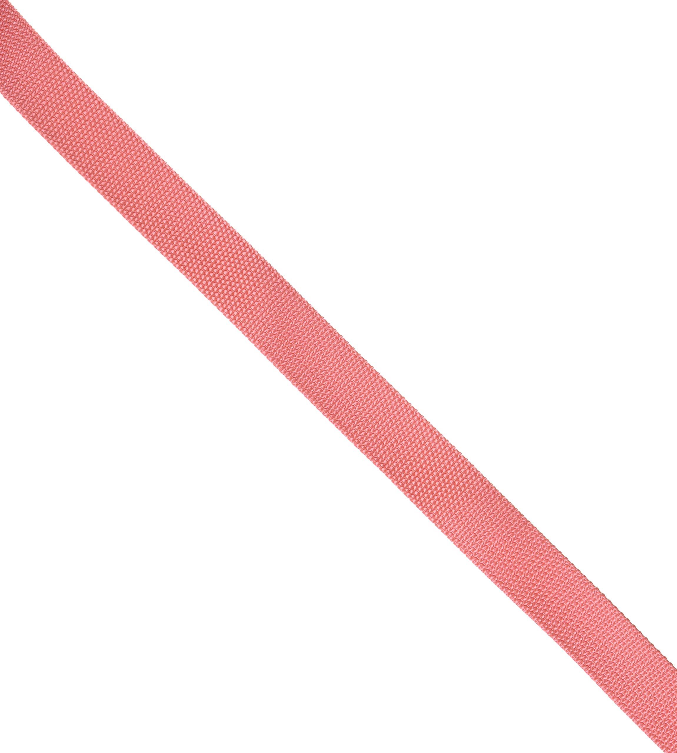 Nippon Chuko Colorful Poly Tape 30mm Width × 10m Roll Salmon Pink MHP3010-12 Craft Supplies Tape Poly Tape