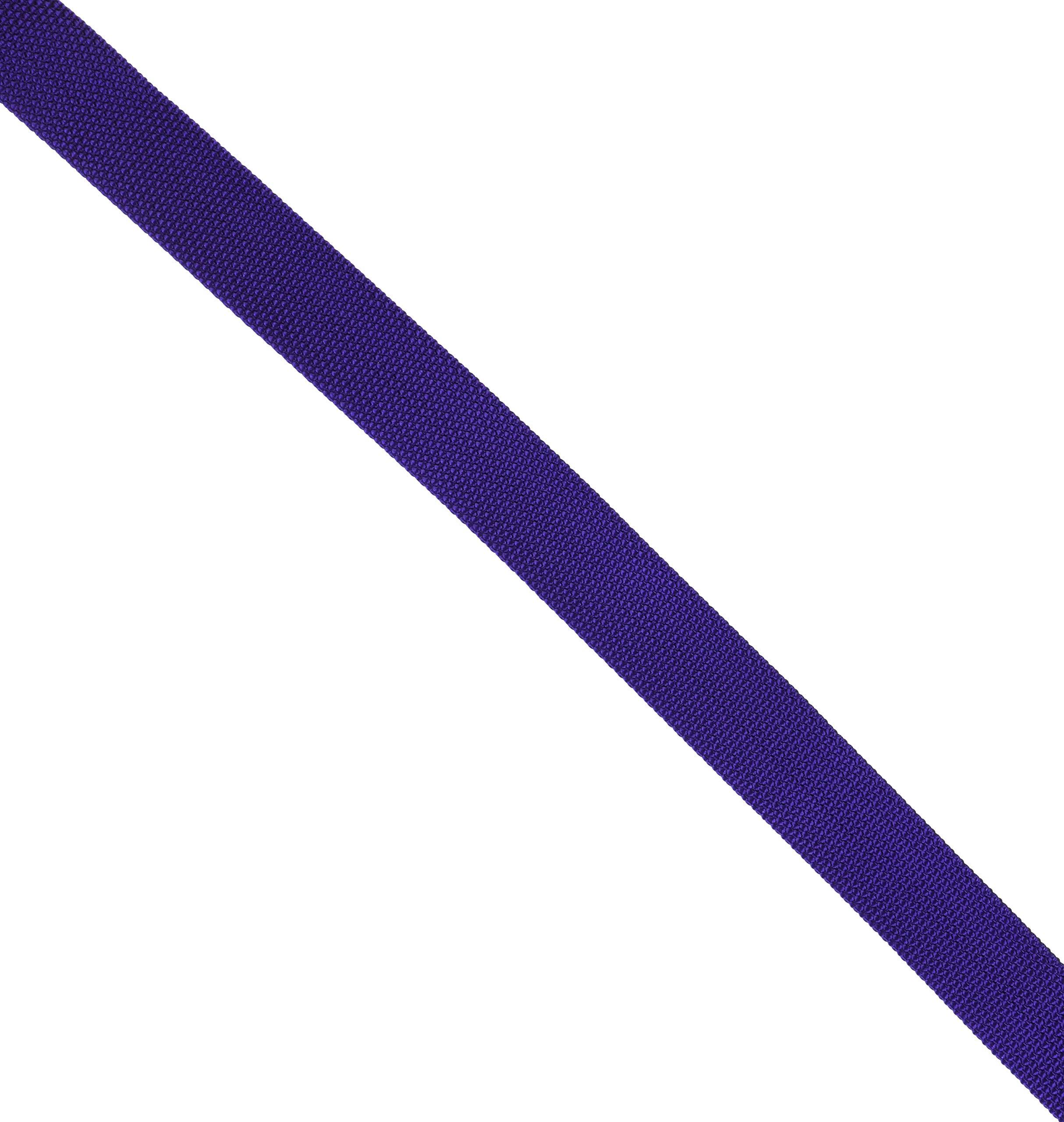 Nippon Chuko NBK Colorful Poly Tape 30mm Width × 10m Roll Purple MHP3010-16