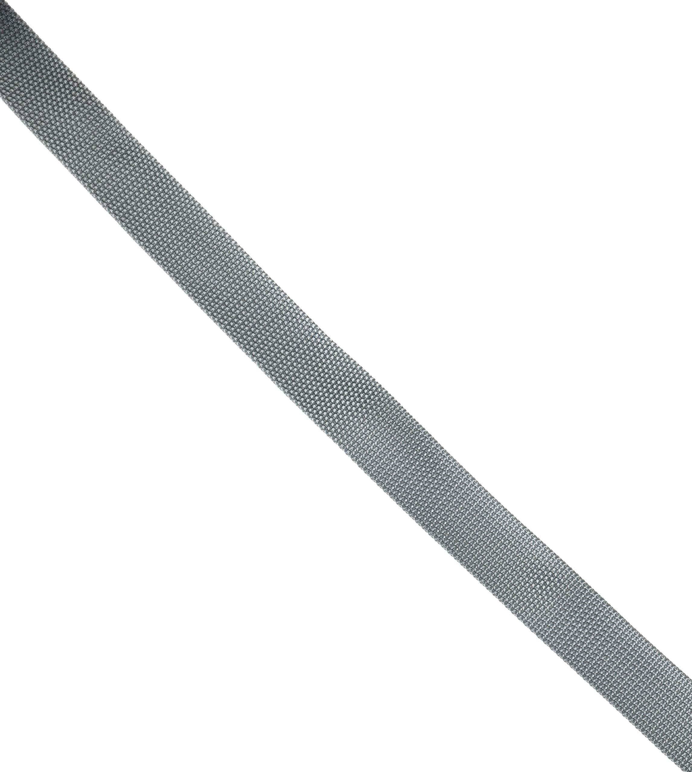 Nippon Chuko Colorful Poly Tape 30mm Width × 10m Roll Gray MHP3010-33 Craft Supplies Tape Poly Tape