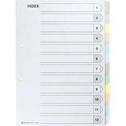 KING JIM Color Index A4S 12-Pocket Type KJ-907-12YX10