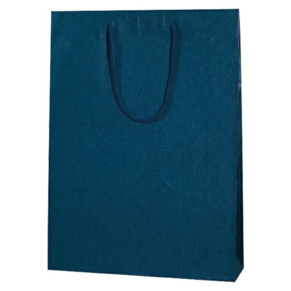 Shimojima Heiko Handle Paper Bag Color Charm Bag 2-Year-Old 33x10x45cm 10 Sheets 005310112