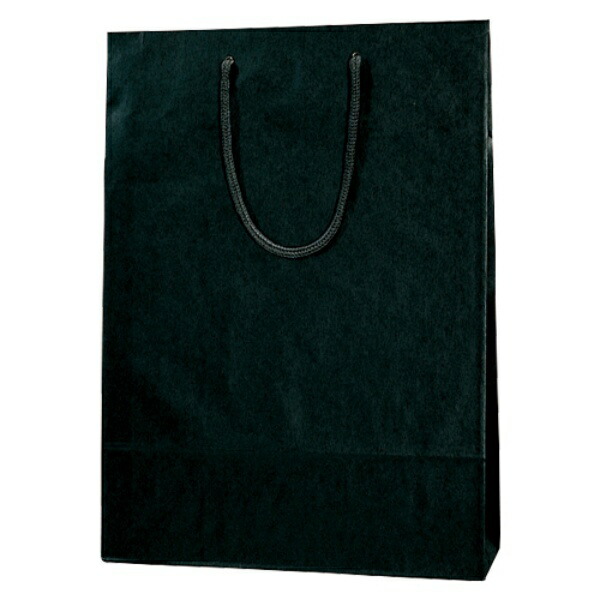 Shimojima Heiko Handle Paper Bag Color Charm Bag 2 Years Old Black 33x10x45cm 10 Sheets Black 005310114
