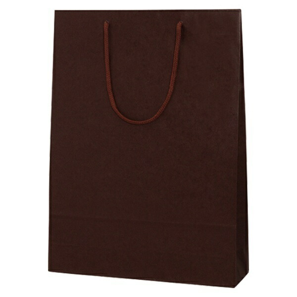 Shimojima Heiko Handle Paper Bag Color Charm Bag 2-Year Brown 33x10x45cm 10 Sheets 005310115