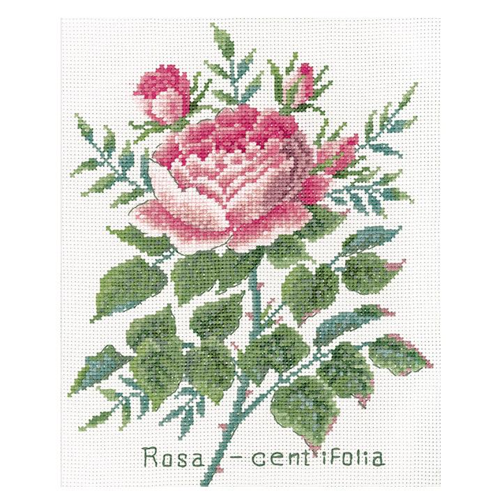 Olimpas Silk Megumi Onoe Embroidery Kit Series Botanical Garden 7504・Rosa Centifolia
