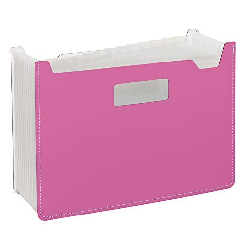 Sekisei Papieri Document Stand A4 13P Pink FB-2380