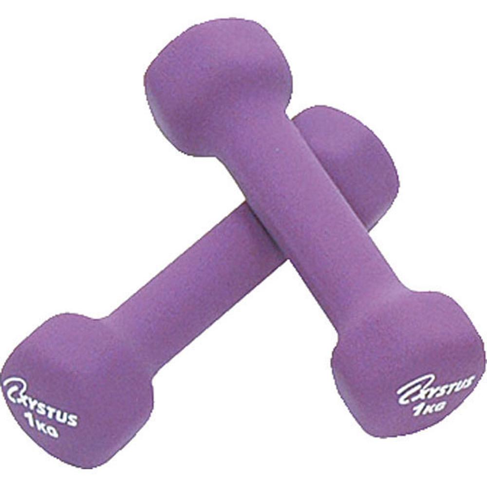 TOEI LIGHT XYSTUS Rubber-Coated Dumbbell 1 H9055 1kg Pair of 2 Surface Rubber Coating Purple