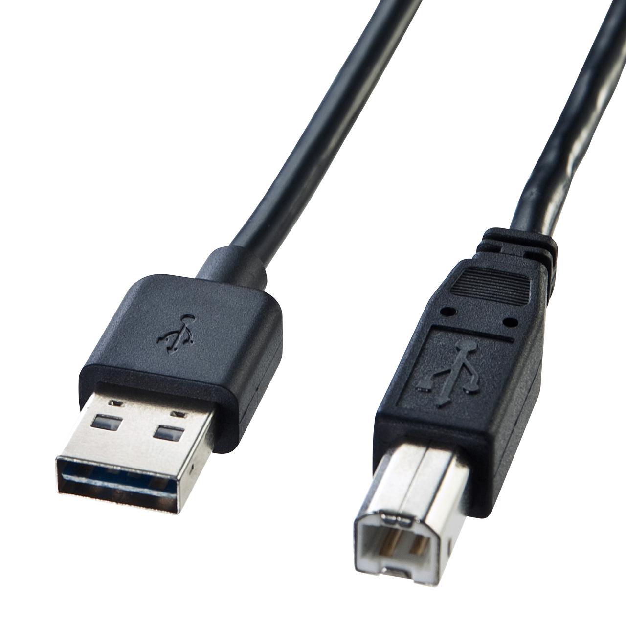 Esco 3.0m Reversible USB Cable (Type A to Type B / USB 2.0 Compatible) EA764AJ-104