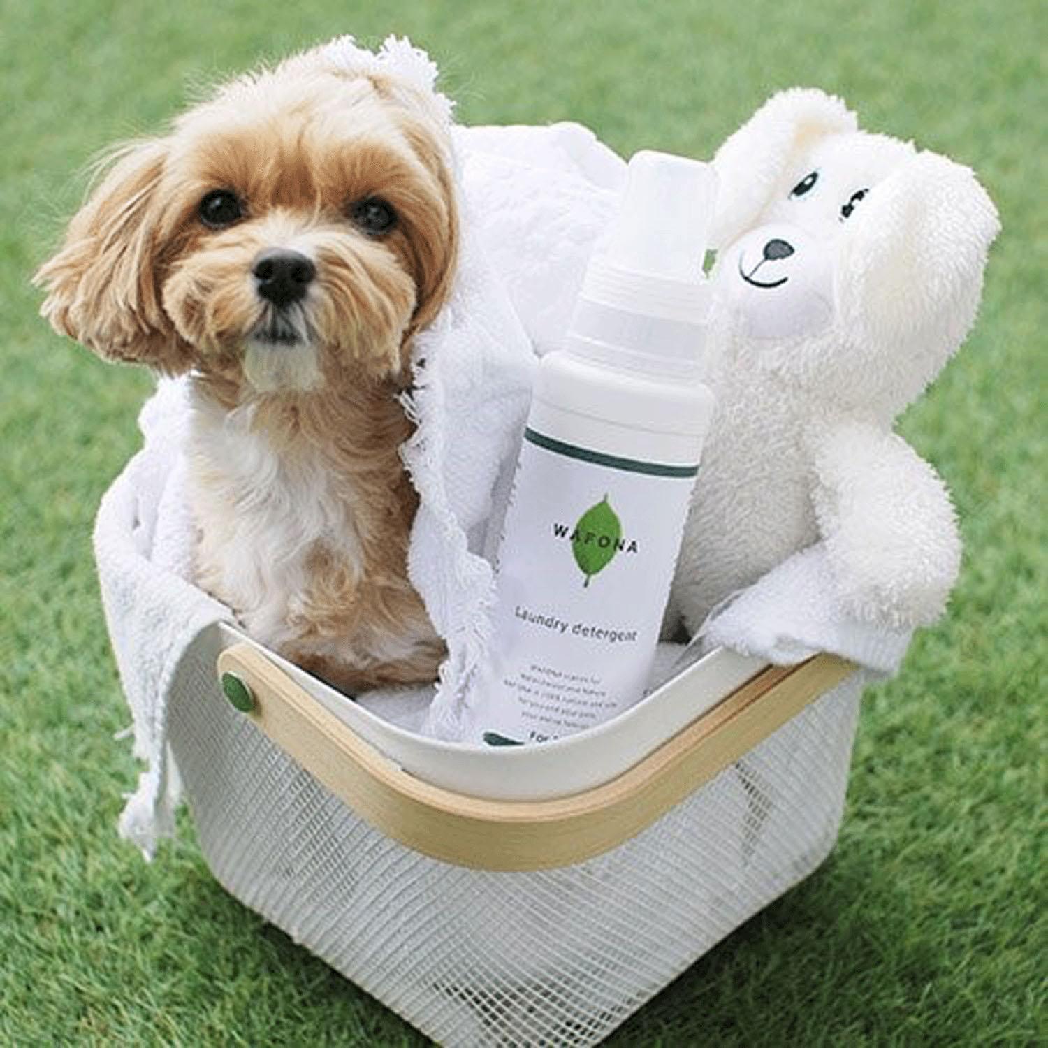 WAFONA Laundry Detergent 400ml