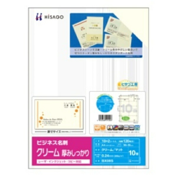 Hisago Business Card Holder, 10 Compartments, Cream, Thick & Sturdy (100 Cards) BX08