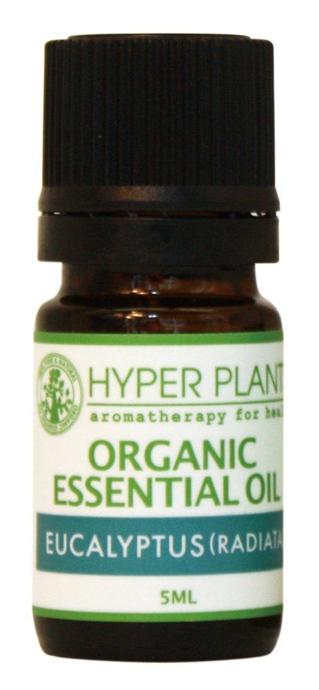 HYPER PLANTS HP Organic Essential Oil Eucalyptus (Radiata) 5ml