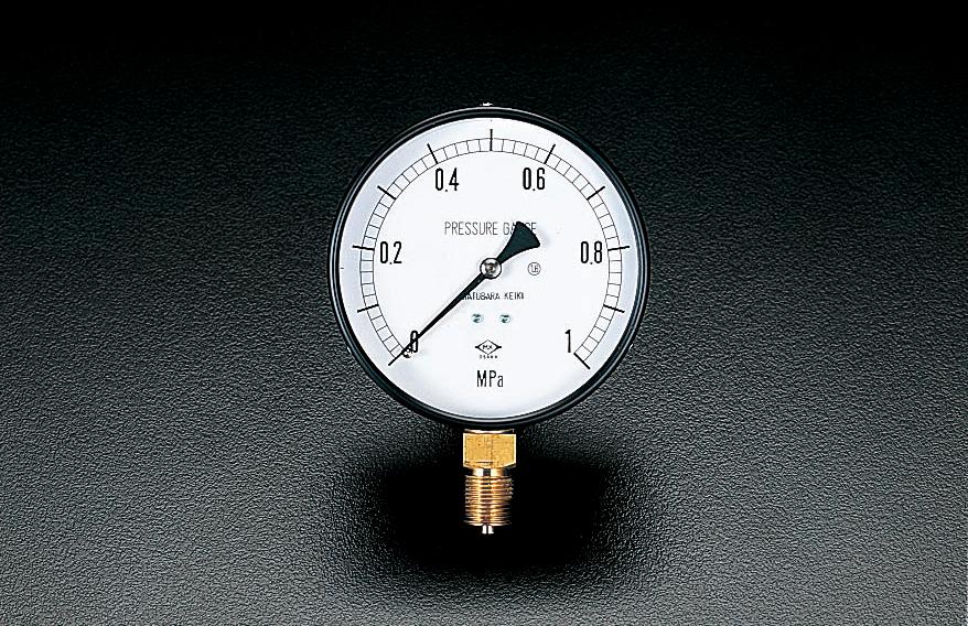 ESCO G 3/8"/100mm/0-1.0MPa Pressure Gauge EA729BD-10