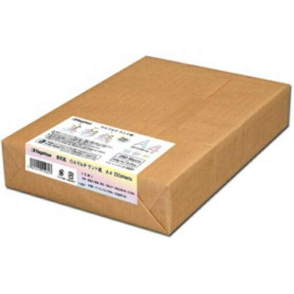 Nagatoya Shoten Bishai Paper ISO Whiteness 99.5% A4 <209g> 250 Sheets NA-962V