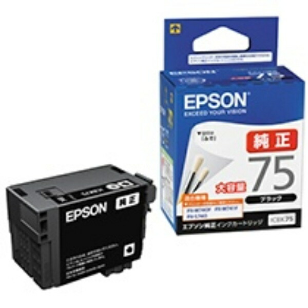 Epson Ink Cartridge Black High Capacity ICBK75 1 piece