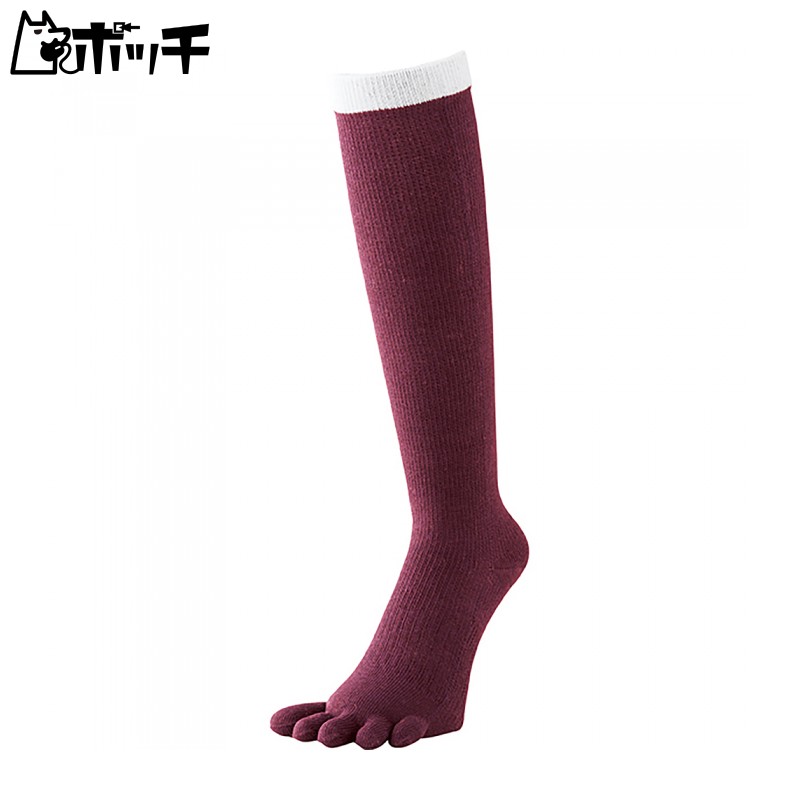 [SSK] Five-Toe Color Socks (Reinforced Lining) YA1501 Size 22 Burgundy 25~28cm