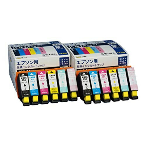 World Business Supply Luna Life Compatible Ink Cartridges for Epson KAM-6CL 6-Pack × 2 Value Set LNEPKAM/6P*2PCS