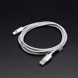 Japan Trust Technology Type-C Charging Cable 2m Silver JTINDTC-2M-SVX5