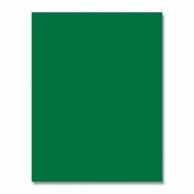 Heiko Gift Bag, Pear Skin Texture, Matte Color Poly, Green, 50x65cm, 10 Sheets, 006995801