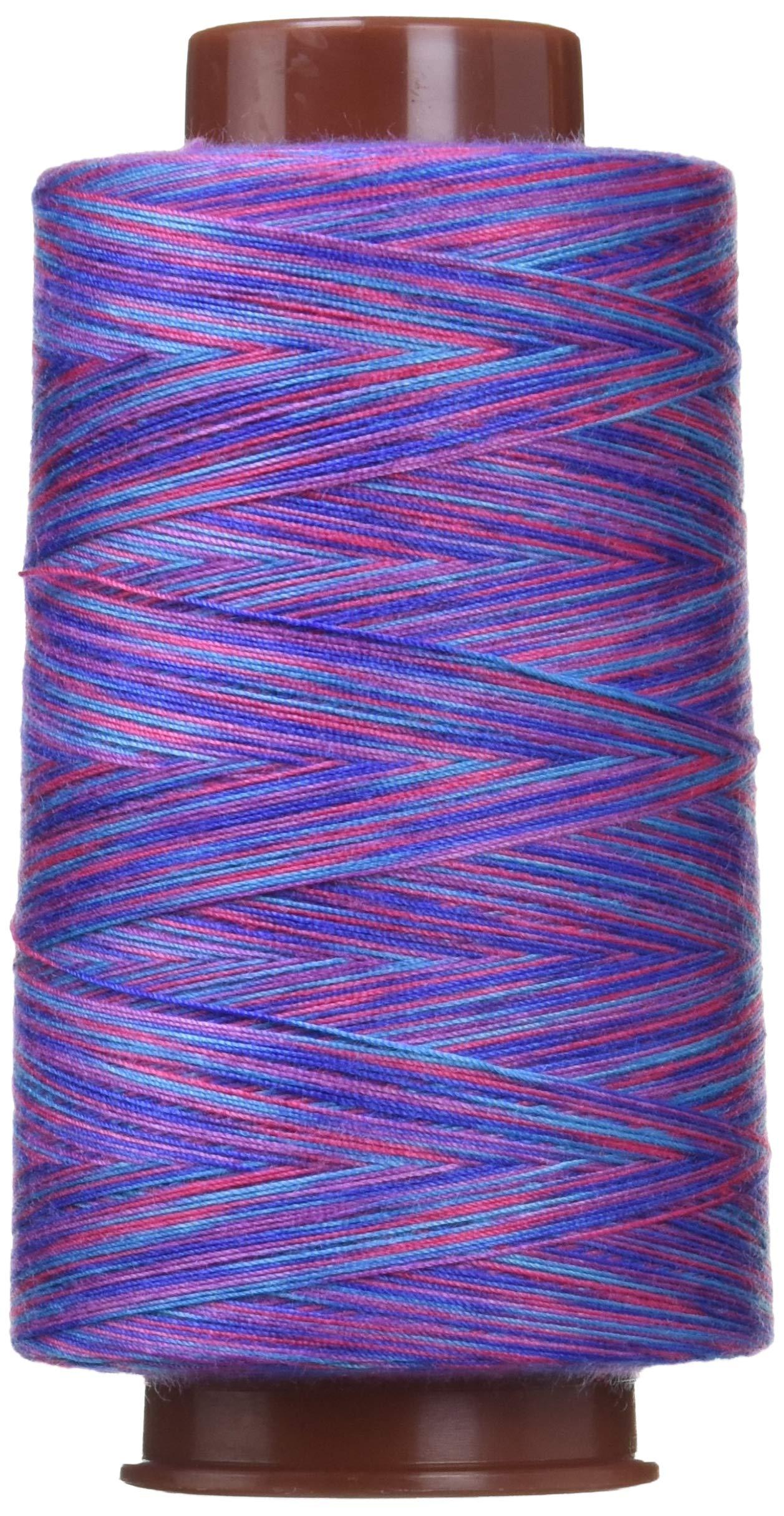 FUJIX King Colors Spun Sewing Thread Gradient-Dyed Sewing Thread #30 1000m [22] FK4846-4