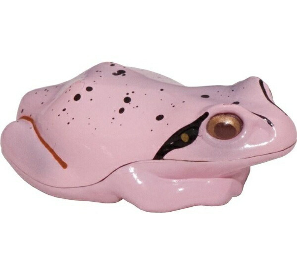 I Live Light Frog Sesame Peach R