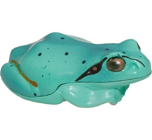 I Live Light Frog Sesame Green R