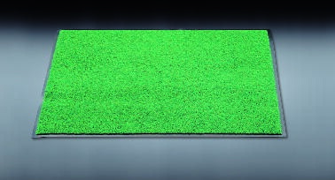 450x750mm Entryway Mat (Green)