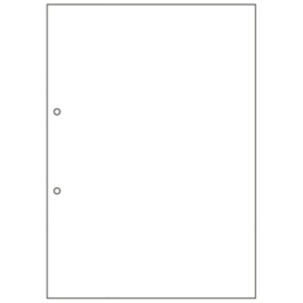Hisago Multi-Purpose Printer Forms Water-Resistant Paper A4 Blank 2-Hole Punch BPW2001 1 Book (50 Sheets)
