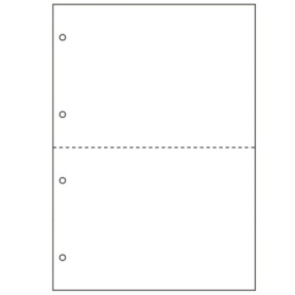 Hisago Multi-Purpose Printer Forms Water-Resistant Paper A4 Blank 2-Sided 4-Hole BWP2003 1 Book (50 Sheets)