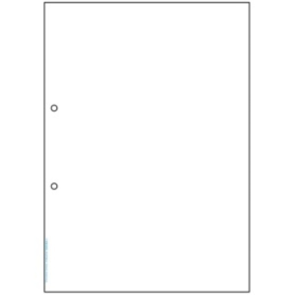 Hisago Multi-Purpose Printer Forms Antibacterial Paper A4 Blank 2-Hole BPK2001