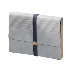 Lion Office Supplies Document File A4 12P DC-411N