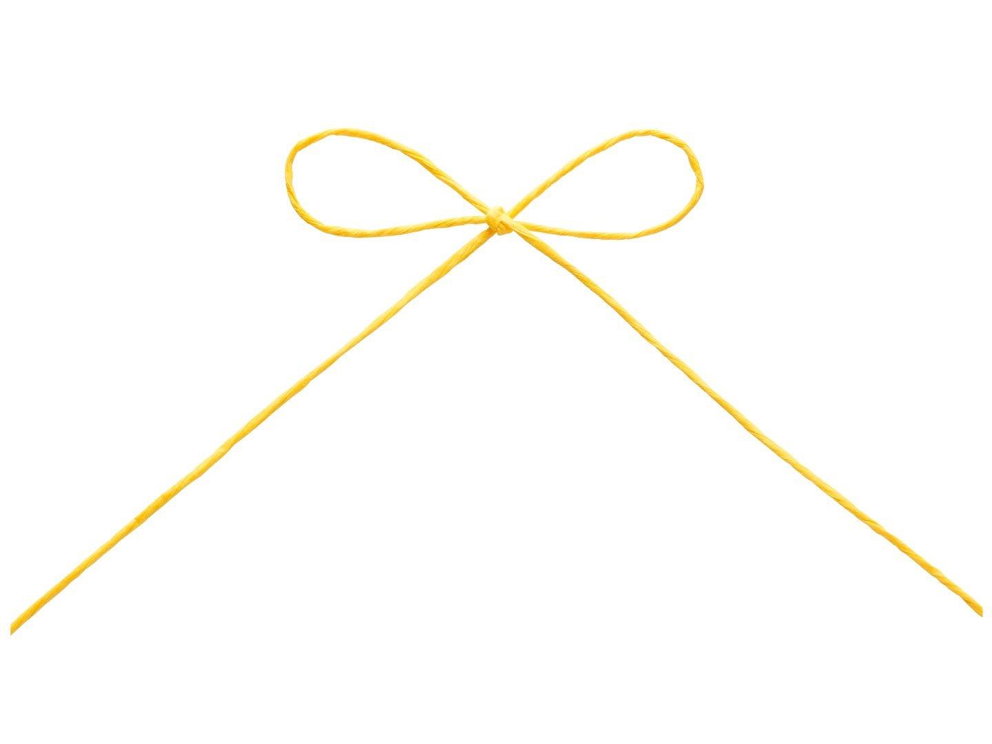 Tokyo Ribbon Papier 2 Printemps Yellow Approx. 1mm × 130m