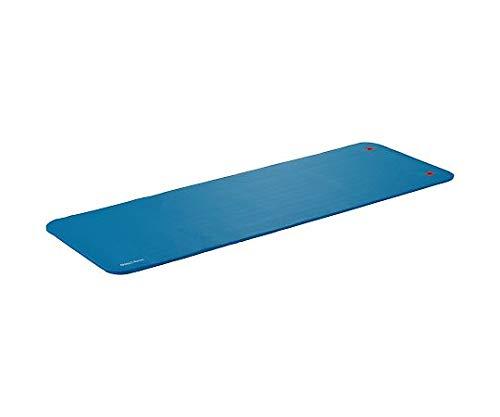 Danno Stretch Mat EX (Blue) E-2 School Equipment (d7217b) Select In Stock