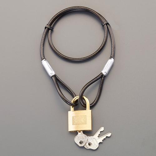ESCO φ4.3 x 540mm Wire Lock (Cylinder Lock) EA983TT-41