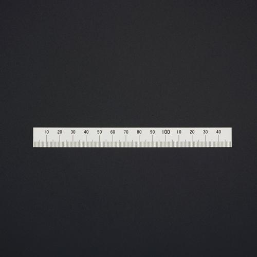 ESCO Scale (Stainless Steel) [Right-Handed/Bottom Scale] 150mm EA948JD-33