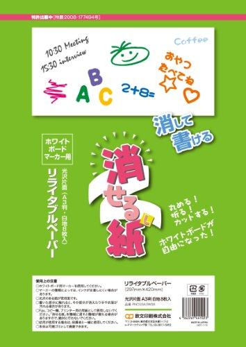 Erasable Paper A3 (8 Sheets) PNCGSA3W08