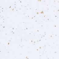 Heyko Wrapping Paper, Unryu Paper, Gold and Silver Shimmer, White, 50 Sheets, 002107601