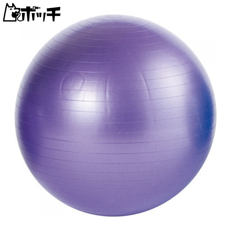 EVERNEW Non-Burst Balance Ball 65 ETB602