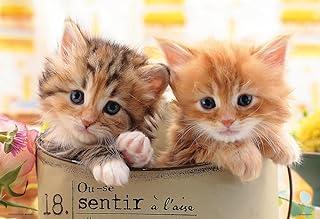 Beverly 300-Piece Jigsaw Puzzle: Happy Kitty (26×38 cm) 300-065