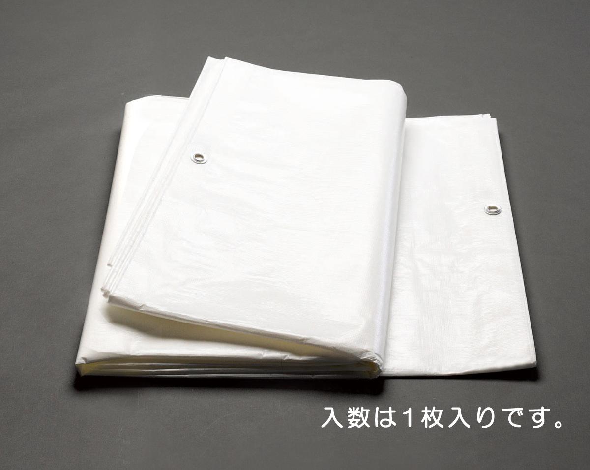 3.6 x 5.4 m / 0.25 mm white sheet (#3000)