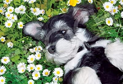 EPOCH 300-Piece Jigsaw Puzzle: Animals/Pets - Dog in a Flower Garden (26×38cm) 28-828s Includes Glue, Spatula, and Point Voucher