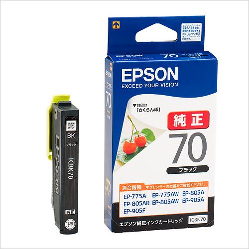 [Epson] Ink Cartridge (Black / ICBK70)